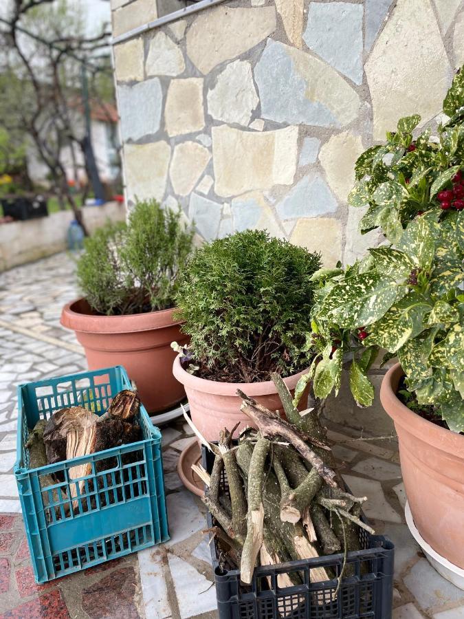Kasaj Villa Gjirokaster Bagian luar foto
