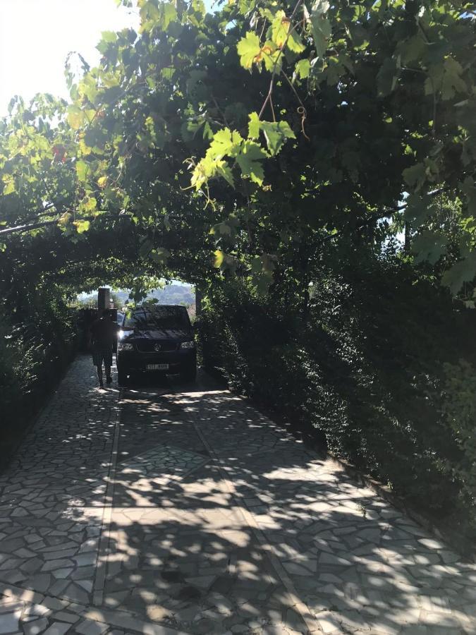 Kasaj Villa Gjirokaster Bagian luar foto